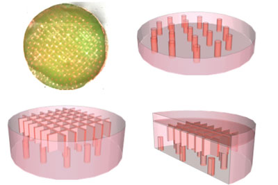 Ying Zheng
Top left, a tissue scaffold with pores visible. Clockwise, schematic diagrams showing cross-sections microstructured tissue templates.