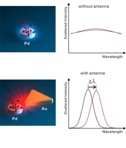Top figure shows hydrogen (red) absorbed on a palladium nanoparticle, resulting in weak light scattering and barely detectable spectral changes. Bottom figure shows gold antenna enhancing light scattering and producing an easy to detect spectral shift. (Image courtesy of Alivisatos group)

