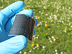Flexible thin film CIGS solar cell on polymer substrate developed at Empa (Copyright: Empa) 