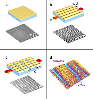 Nanomechanical measurements (model system and microimage of typical specimen). a) thin rigid film on elastic substrate b) initial strain induces surface wrinkles parallel to stress c) additional strain induces regular pattern of cracks in the film d) typical specimen imaged with optical profilometer (280 X 210 micrometers.)
Credit: Chung, Lee/NIST