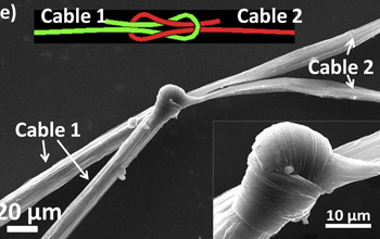 YAO ZHAO/RICE UNIVERSITY
Nanocables tied in a square knot lose little of their conductivity, Rice researchers found. 