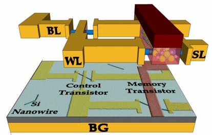 This diagram shows the layout for a new type of computer memory that could be faster than the existing commercial memory and use far less power than flash memory devices. The technology, called FeTRAM, combines silicon nanowires with a "ferroelectric" polymer, a material that switches polarity when electric fields are applied, making possible a new type of ferroelectric transistor. (Birck Nanotechnology Center, Purdue University) 