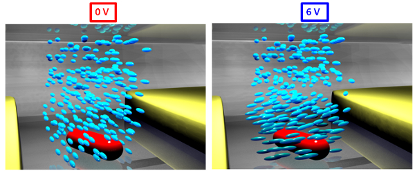Applied voltage creates a nematic twist in liquid crystals (blue) around a nanorod (red) between two electrodes in an experiment at Rice University. This graphic shows liquid crystals in their homogenous phase (left) and twisted nematic phase (right). Depending on the orientation of the nanorods, the liquid crystals will either reveal or mask light when voltage is applied.
(Credit Link Lab/Rice University)