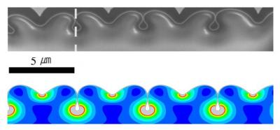 Researchers at Brown University and in Korea used focused ion beams to extract a cross-section of compressed gold nanofilm. When tips of regular, neighboring folds touched, nanopipes were created beneath the surface.

Credit: Kyung-Suk Kim lab, Brown University