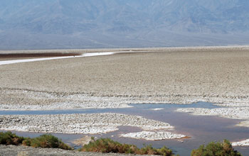 Badwater Basin, lowest elevation in the Western Hemisphere, at Death Valley National Park.

Credit: Dennis Bazylinski and Christopher Lefvre
