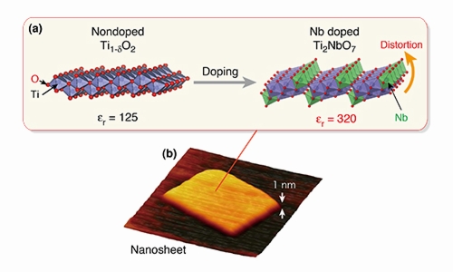 Figure: Tailor-made dielectric nanosheet via controlled nanoscale doping. (a) Structural change induced by Nb doping. (b) AFM image of titanium-niobate nanosheet.