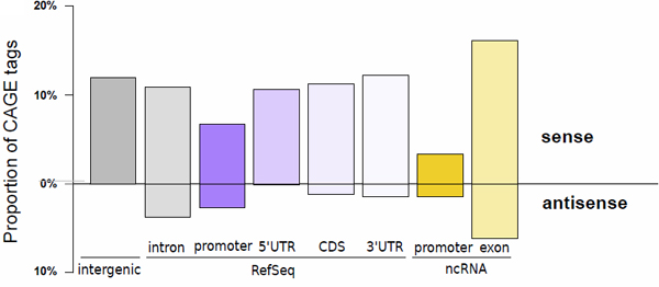 Figure 1 MOE transcription start sites recapitulate known transcript initiation and reveal the extent of non-coding transcripts.

Histogram depicting the proportion of tags aligned to the proximal promoter of transcript models (defined as the region spanning from the 5' end to 500 bp upstream), the 5' UTR, the coding sequence (CDS), the 3' UTR (in decreasing purple colors), the proximal promoter of FANTOM3 non-coding RNA (in orange), and the FANTOM3 non-coding RNA (in light orange). The upper part of the bar plot shows TSSs located on the same strand as the annotation, while the lower part depicts TSSs located on the opposite strand. The percentage of TSSs that do not colocalize with any of those annotations is represented by the grey bar.