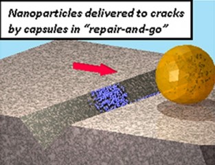 Todd Emrick, UMass Amherst

A recent materials repair discovery validates prior theory and may lead to significant conservation of material in diagnosing and repairing structural damage. The cartoon illustrates how nanoparticle-containing capsules roll or glide over damaged substrates, selectively depositing their nanoparticle contents into fractures.