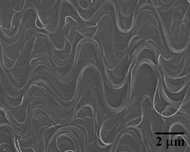 The buckled nanotubes look like squiggly lines on a flat surface.