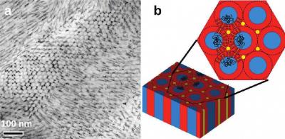 This transmission electron micrograph (a) shows cadmium sulfide nanorods forming arrays that are aligned and oriented parallel to the cylindrical microdomains of block copolymers. The schematic drawing (b) illustrates copolymers with nanorods.

Credit: Image courtesy of Berkeley Lab