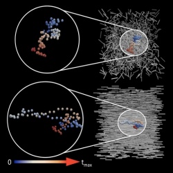 Diffusion of Spherical Probe through Static Nematogens

Diffusional behavior of a spherical probe through static nematogens (or needles) is probed via molecular dynamics simulations.