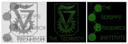 Scientists have developed a �biological computer� capable of deciphering images encrypted on DNA chips. As a proof of concept, the scientists encrypted the Scripps Research and Technion logos on a single DNA chip and, using software, decrypted the separate fluorescent images. (Image courtesy of the Keinan lab.)
