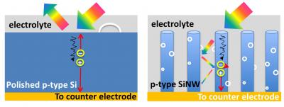 Schematic shows the light trapping effect in nanowire arrays. Photons on are bounced between single nanowires and eventually absorbed by them (R). By harvesting more sun light using the vertical nanotree structure, Wangs team has developed a way to produce more hydrogen fuel efficiently compared to planar counterparts where they are reflected off the surface (L).

Credit: Image Credit: Wang Research Group, UC San Diego Jacobs School of Engineering. Originally published in the journal Nanoscale, reproduced by permission of The Royal Society of Chemistry.