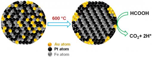 Midas touch on the nanoscale Gold atoms create orderly places for iron and platinum atoms, then retreat to the periphery of the fuel cell, where they scrub carbon monoxide from fuel reactions. The tighter organization and cleaner reactions extend the cell's performance life. Credit: Sun Lab/Brown University 