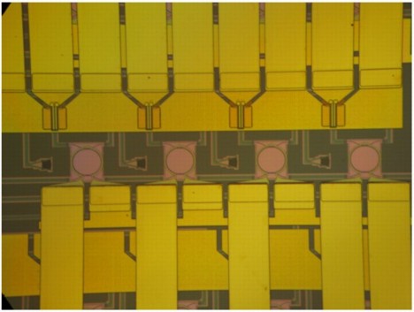 BOOM: Four channel label extractor with four high-finesse ring resonators integrated with InGaAs photodetectors.