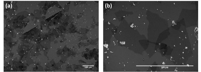 Image of reduced GO sheets on a SiO2/Si substrate. (a) Optical microscope image; and (b) higher magnification.