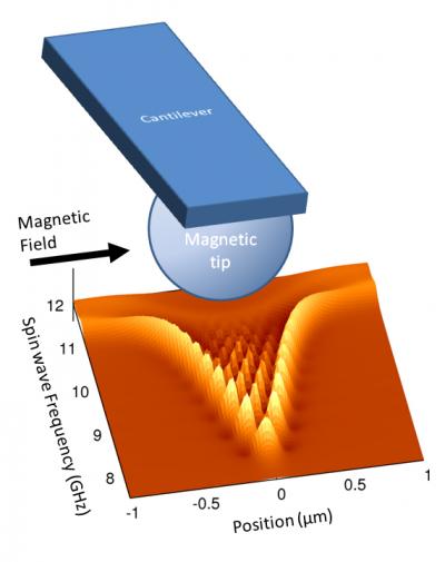 Trapped beneath the magnetic tip of a microscale cantilever, spin waves can be used to non-destructively measure the properties of magnetic materials and search for nanoscale defects, especially in multilayer magnetic systems like a typical hard drive, where defects could be buried beneath the surface.

Credit: McMichael/NIST
