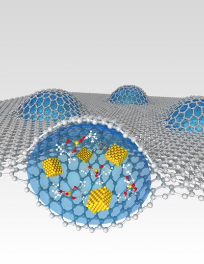 Two sheets of graphene encapsulate a platinum growth solution.

Credit: KAIST