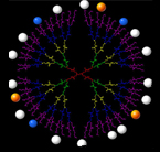 Schematic picture of a dendrimer with multiple branches that are tagged with drug molecules and imaging agents. 