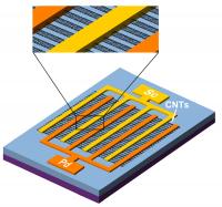 This schematic shows the design of single-walled carbon nanotube photodetector, which provides a more efficient method of collecting infrared radiation without relying on cryogenics for cooling.

Credit: Image courtesy Sheng Wang, Peking University.