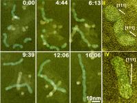 These are sequential color TEM images showing the growth of Pt3Fe nanorods over time, displayed as minutes:seconds. At the far right, twisty nanoparticle chains straighten and stretch into nanorods.

Credit: Images courtesy of Haimei Zheng