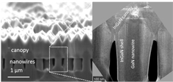 Cross-sectional images of the indium gallium nitride nanowire solar cell. (Image courtesy of Sandia National Laboratories) 