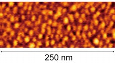 Fig. :Atomic force microscope (AFM) image of ultra-high surface density quantum dots formed by reducing the amount of gallium irradiation to 3 monolayer at a growth temperature of 30C. An ultra-high surface density of 7.3 x 1011/cm2 was achieved.
