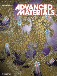 The front cover image represents the 3-D structure of a new polymer-derived nanographene bulk material that consists of a 3-D network of single-layer graphene nanoplatelets. The material is mechanically robust and combines a graphene-like surface area with an open macroporosity thus allowing one to dynamically control its macroscopic properties through ion-induced interfacial electric fields. 