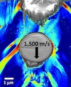 An electron microscope image shows the effects of a silica sphere less than a 10th the width of a human hair on a block copolymer. The sphere was fired at the copolymer at 1,500 meters per second to study the effect of such impacts on advanced materials being developed to protect soldiers, aircraft and spacecraft. Compressed layers of the copolymer appear in red and orange. (Credit: Thomas Lab/Rice University)