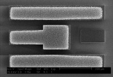 One of the sensors that has been fabricated using a thin layer of carbon nanotubes (CNTs) for electroding, in order to enhance sensitivity. The sensing area is the square at the centre. Credit: Luis Garcia-Gancedo