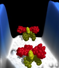 This illustration shows the structure of the molecular motors. (Credit: Saw-Wai Hla)