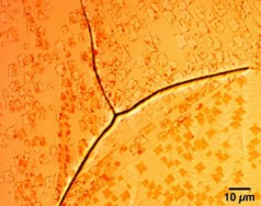 Optical micrograph showing graphene domains formed across grain boundaries.