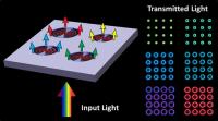 Boston College researchers have constructed a unique nanostructure that exploits microcavity features to filter visible light into "plasmonic halos" of selected color output. The device could have applications in areas such as biomedical plasmonics or discrete optical filtering.

Credit: Nano Letters