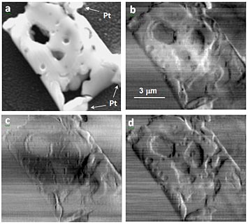 (a) Scanning electron microscope (SEM) image of the solid oxide fuel cell (SOFC) specimen adhered on a Si3Ni4 window with Pt welding. (b-d) are horizontal phase-gradient scanning x-ray microscope images obtained by differential intensity, moment analysis and Fourier-shift fitting algorithms, respectively. Artifacts and blurring effects can be seen in (b) and (c), as compared to (d). 