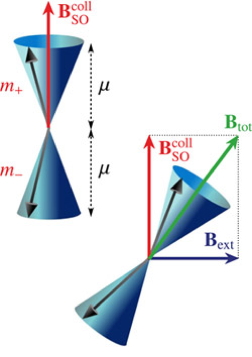 Images illustrate how collective spin excitations behave under the effect of the spin-orbit field, with and without external magnetic field.  2012 American Physical Society