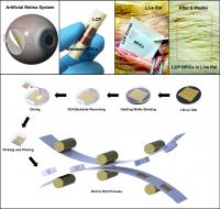 This shows: Top: In vivo flexible large scale integrated circuits (LSI); Bottom: Schematic of roll-to-roll printing of flexible LSI on large area plastics.

Credit: KAIST