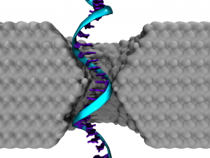 An illustration of a single-stranded DNA homopolymer translocating through a silicon nitride nanopore.Credit: Robert Johnson