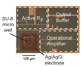 Photograph of integrated amplifiers. The well supporting the membrane and channel is noted in the figure.