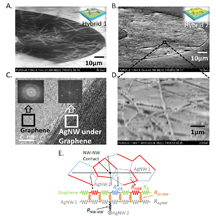 Electron microscope images show a new material for transparent electrodes that might find uses in solar cells, flexible displays for computers and consumer electronics, and future "optoelectronic" circuits for sensors and information processing. The electrodes are made of silver nanowires covered with a material called graphene. At bottom is a model depicting the "co-percolating" network of graphene and silver nanowires.Purdue University image/Birck Nanotechnology Center
