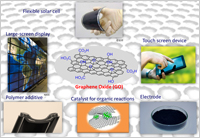 Fig. 1. Promising applications of graphene oxide