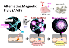 Design concept for a smart hyperthermia nanofiber system that uses magnetic nanoparticles (MNPs) dispersed in temperature-responsive polymers. Anticancer drug, doxorubicin (DOX), is also incorporated into the nanofibers. The nanofibers are chemically crosslinked. First, the device signal (alternating magnetic field, AMF) is turned 'on' to activate the MNPs in the nanofibers. Then, the MNPs generate heat to collapse the polymer networks in the nanofiber, allowing the 'on-off' release of DOX. Both the generated heat and released DOX induce apoptosis of cancer cells by hyperthermic and chemotherapeutic effects, respectively.