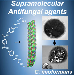 The novel small molecule compounds readily form nanofibers with strong antifungal capability.