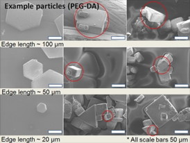 Shown here are examples of micro shapes polymerized by ultraviolet light in polyethylene glycol diacrylate (PEG-DA).
Image courtesy of Ryan Oliver/Mechanosynthesis Group