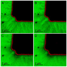A new in situ transmission electron microscopy technique enabled ORNL researchers to image the snowflake-like growth of the solid electrolyte interphase from a working battery electrode.