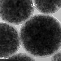 View of iron-oxide nanoparticles embedded in a polystyrene matrix as seen via a transmission electron microscope. These nanoparticles, when heated, can be applied to cancer cells in order to kill those cells.