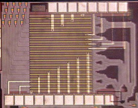 An image of Hajimiri's light-bending silicon chip.
Credit: Ali Hajimiri/Caltech