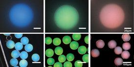These photonic microcapsules have been prepared to produce blue, green, and red structural colors and imaged using bright-field (top) and dark-field (bottom) optical microscopy. Images courtesy of Jin-Gyu Park.
