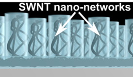 The high degree of control of the method enables production of highly efficient nanotube networks with a very small amount of nanotubes compared to other conventional methods, thereby strongly reducing materials costs.