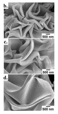 These are close-up images of the new shrink wrap nanostructures taken with a scanning electron microscope. Each image depicts the shrink wrap's surface with a fixed amount of nickel (5 nm) and different thicknesses of gold in the metal coating. The top is 10 nm thick. The middle is 20 nm thick. The bottom is 30 nm thick. The black arrows in the top image indicate a nanogap.

Credit: Optical Materials Express