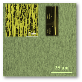 A dense array of nanowires grown directly on graphene. The insets show a higher magnification SEM view of the array and a STEM image of a single, axially heterostructured InGaAs/InAs nanowire.